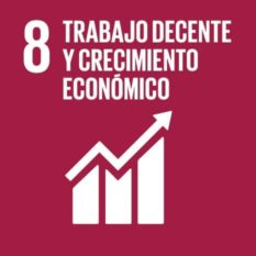 ODS Trabajo decente y crecimiento económico - Decent work and economic growth