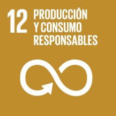 ODS Producción y consumo responsables - Responsible consumption and production