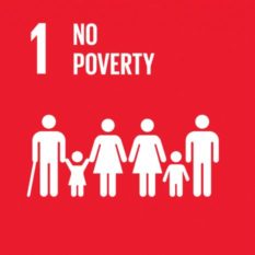 SDG_No poverty