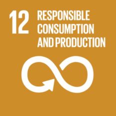 SDG_Responsible consumption and production