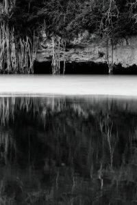 Cenotes mayas